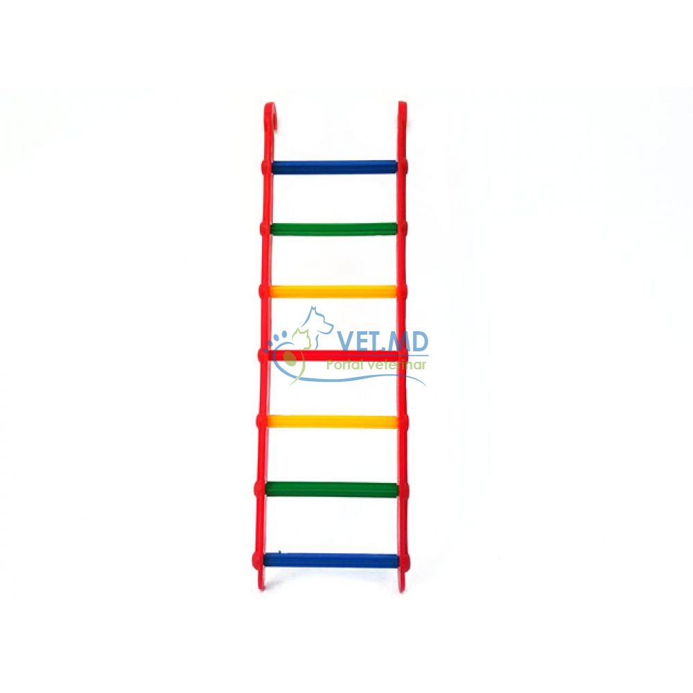 Scara Plastic Papagali